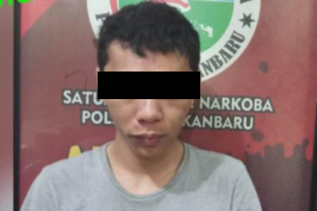 Sat Resnarkoba Polresta Pekanbaru Ciduk Seorang Pengedar Narkoba Jaringan Napi Lapas Pekanbaru